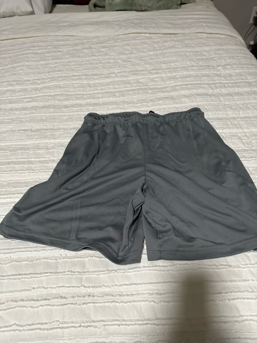 Nike Light Gray Dri-FIT Athletic Shorts with Branded Waistband
